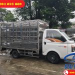 Xe chở gà vịt Hyundai H150 Porter 1.5 Tấn